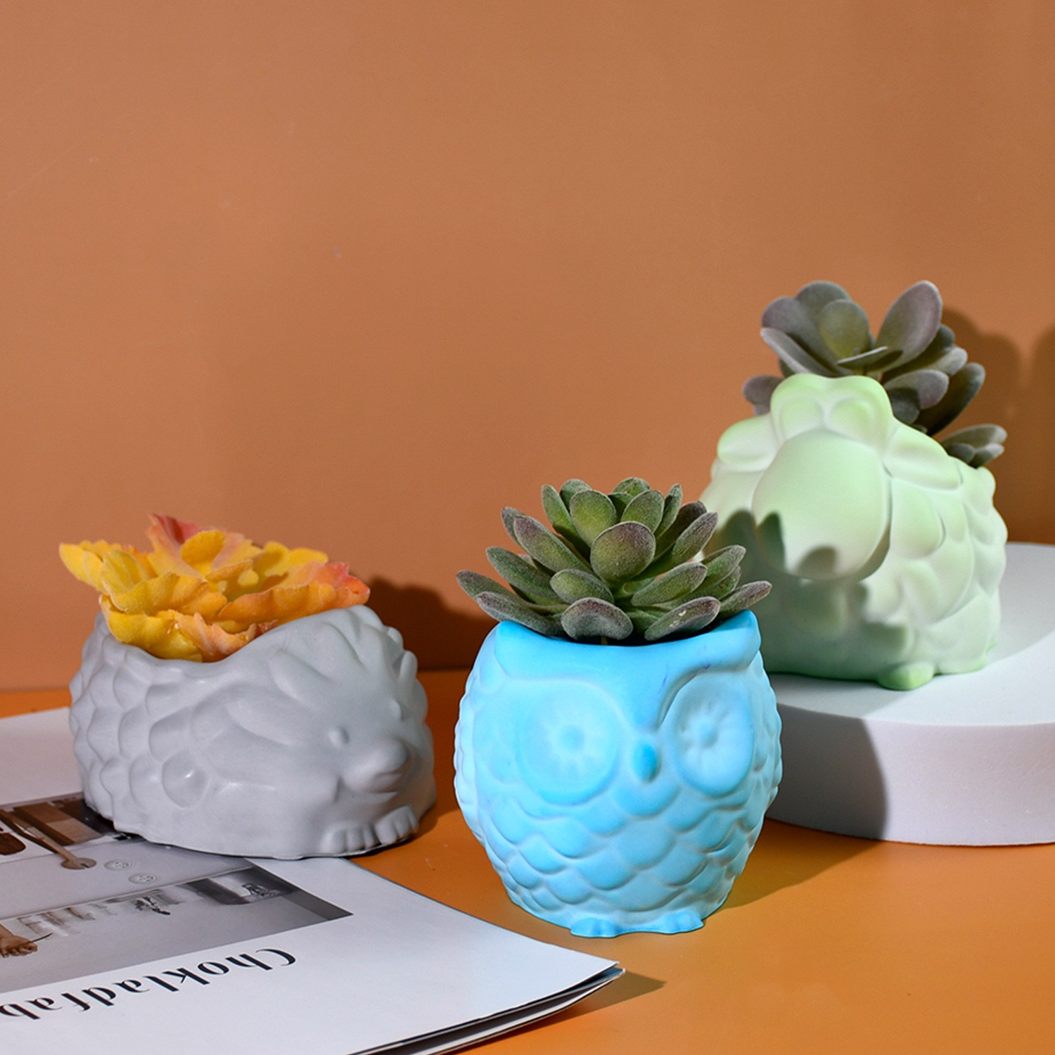 Cetakan Silikon Pot Bunga Hewa - Potsticker Mold ulasan dan harga
